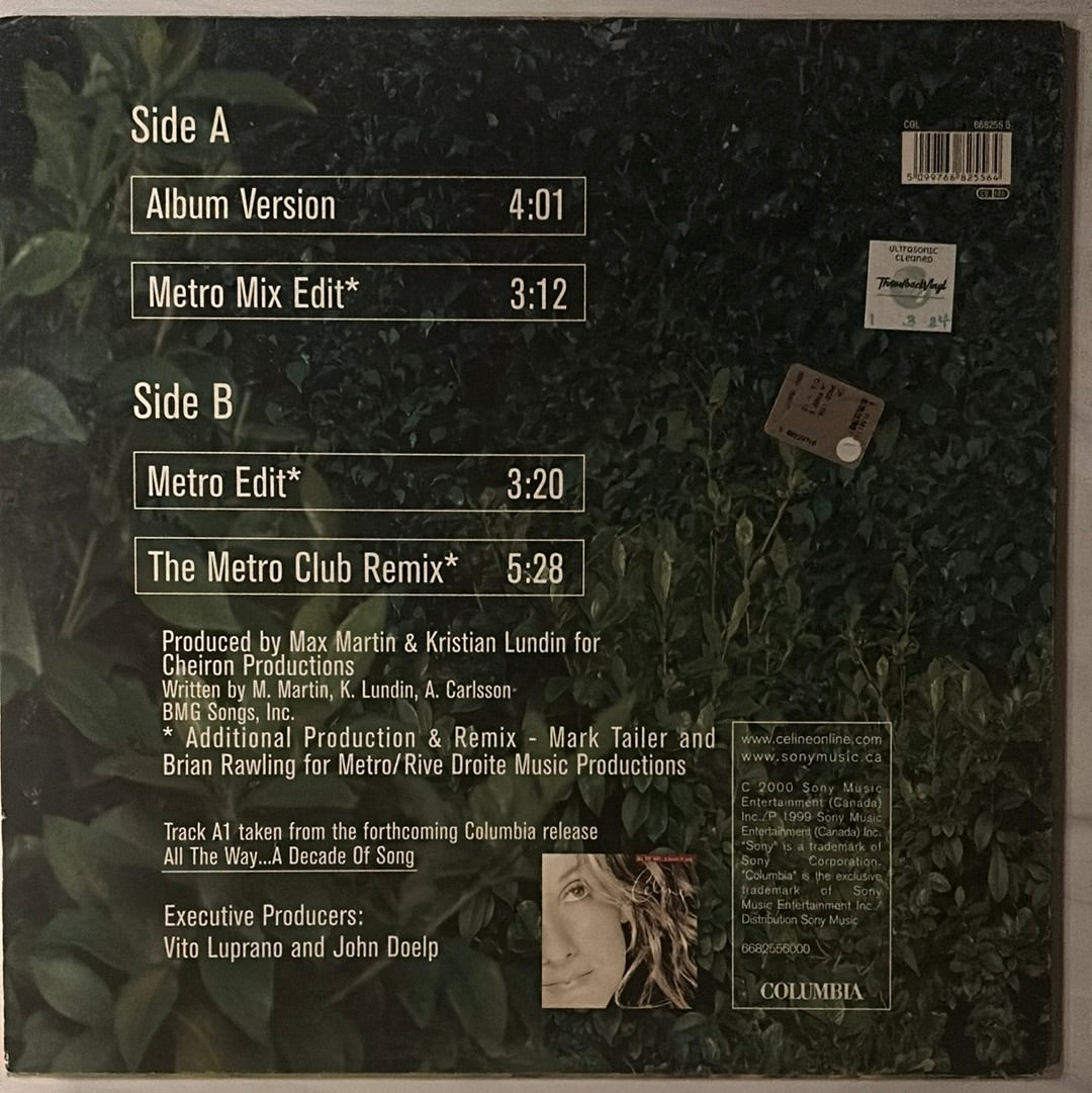 Celine - That's The Way It Is (12" Single)