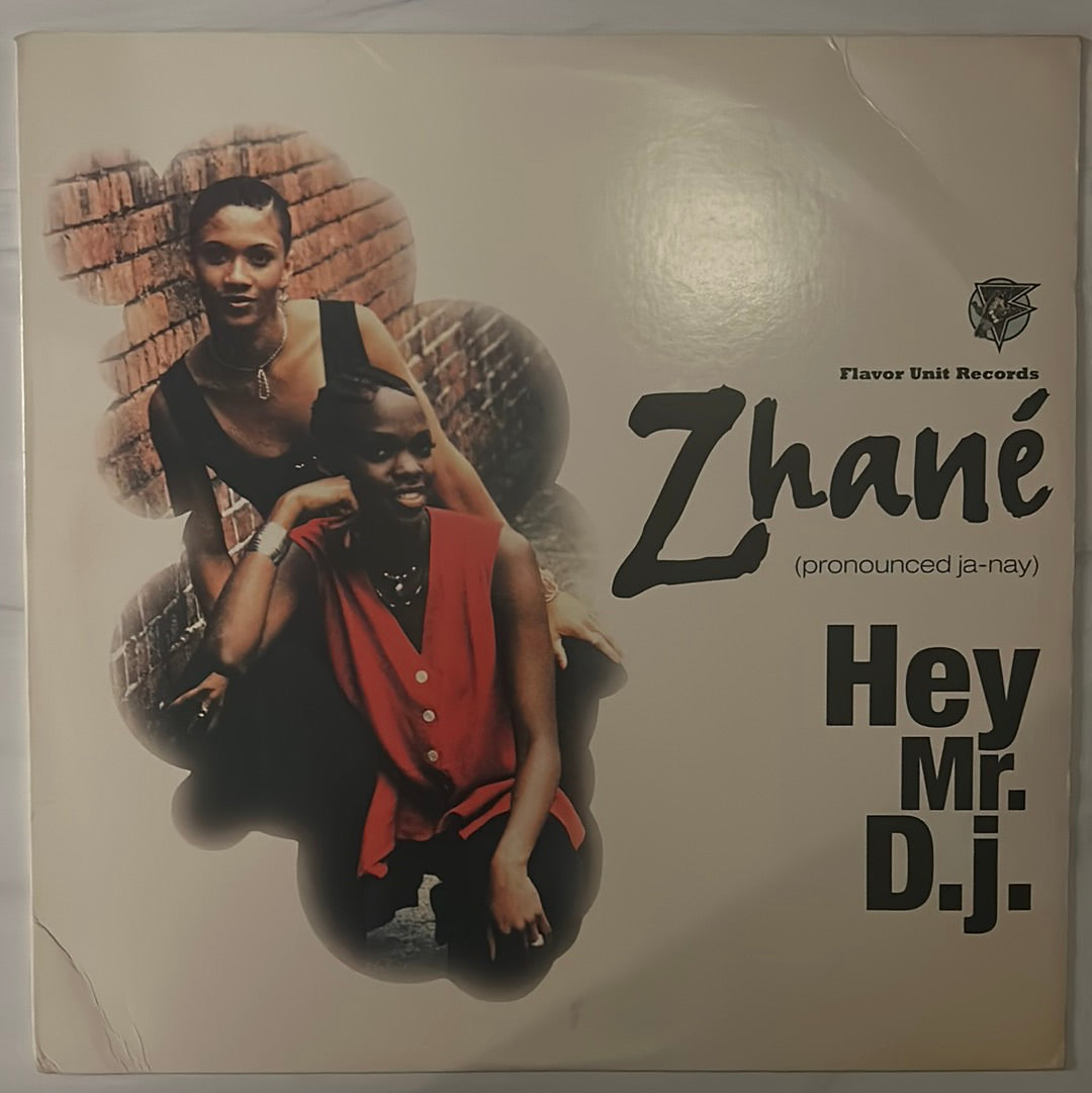 Zhane - Hey Mr. D.j. (12" Single)