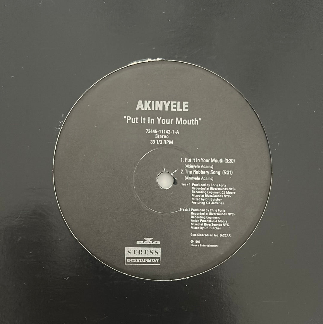 Akinyele - Put It In Your Mouth (12" Single)